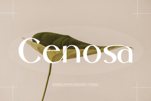 Cenosa: The Elegant Sans Serif Font for Crafters and Designers