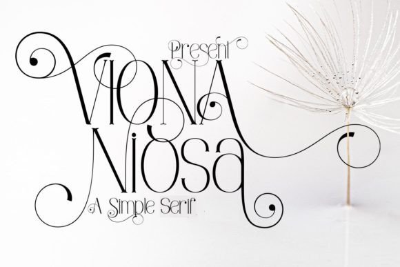 Viona Niosa: The Elegant Serif Font for High-End Campaigns
